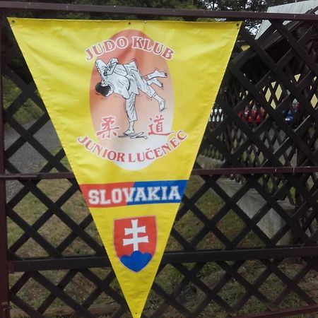 Turisticka Ubytovna Hotel Divin Экстерьер фото