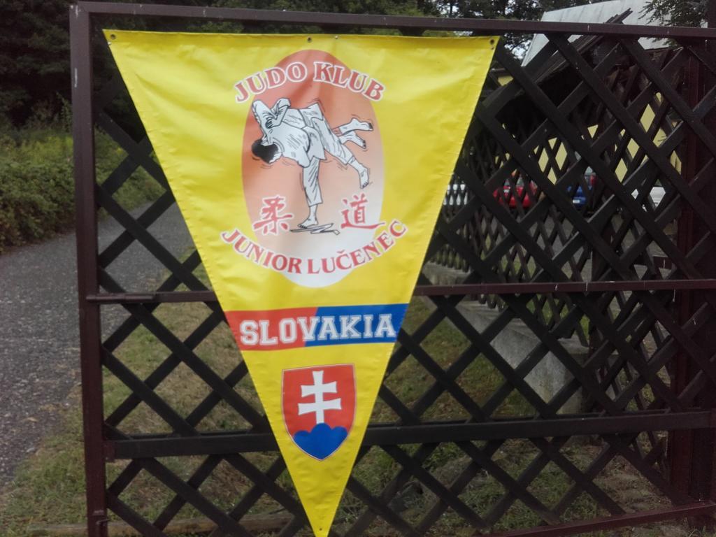 Turisticka Ubytovna Hotel Divin Экстерьер фото